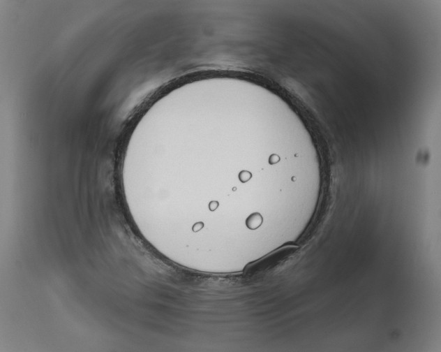 X0000111521307200908111153