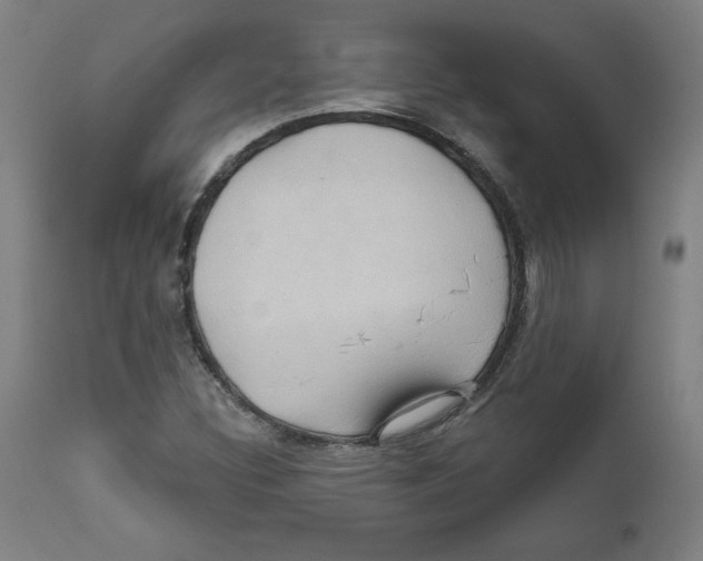 X0000111521308200908111153