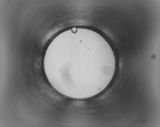 X0000111521309200908111153