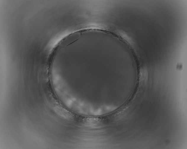 X0000111521310200908111153