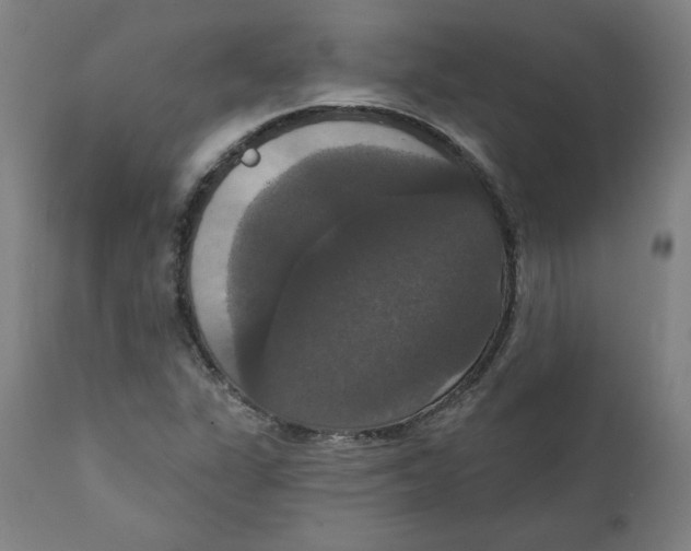X0000111521311200908111153