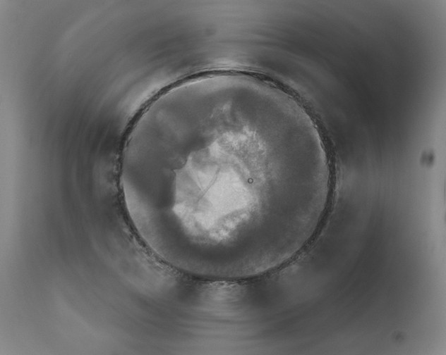 X0000111521314200908111153