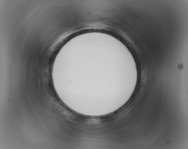 X0000111521315200908111153