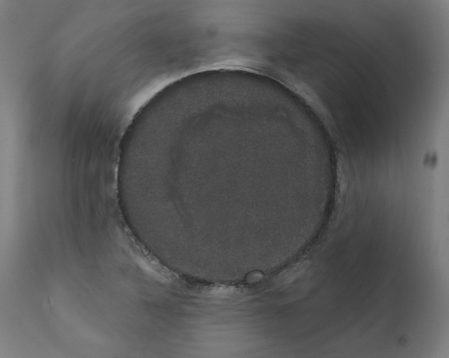 X0000111521316200908111153