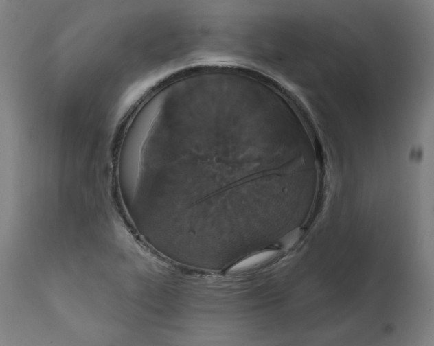 X0000111521319200908111153