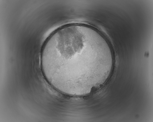 X0000111521320200908111153