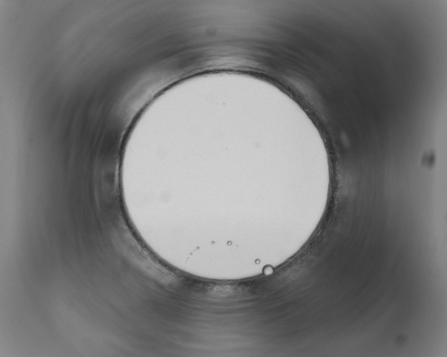 X0000111521322200908111153