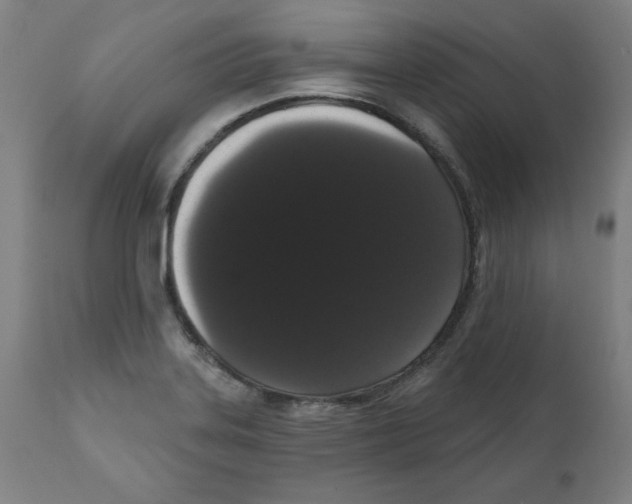 X0000111521323200908111153