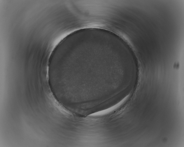 X0000111521324200908111153