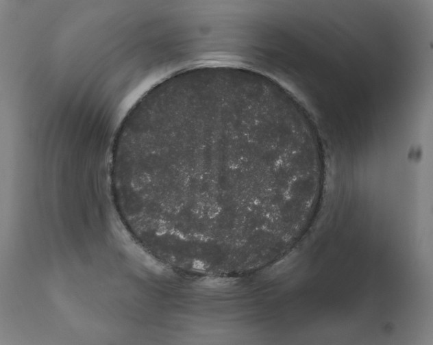 X0000111521325200908111153
