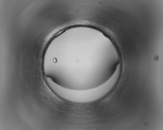 X0000111521326200908111153