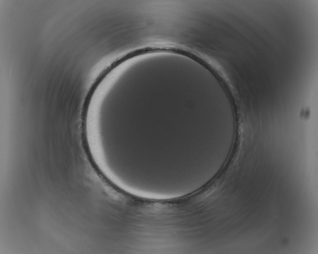 X0000111521327200908111153