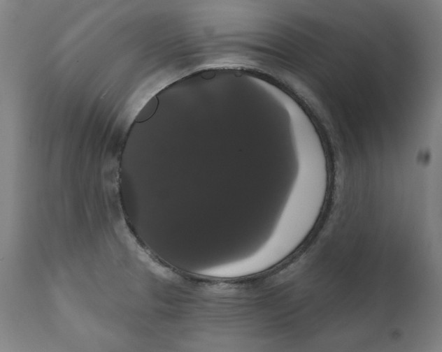 X0000111521329200908111153