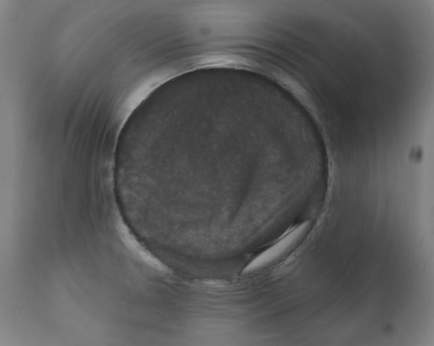 X0000111521330200908111153