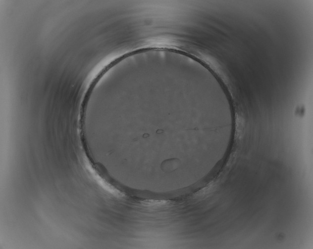 X0000111521331200908111153