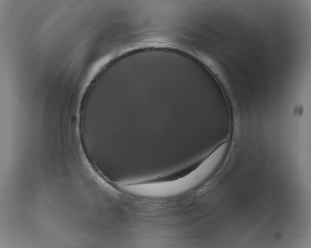 X0000111521334200908111153