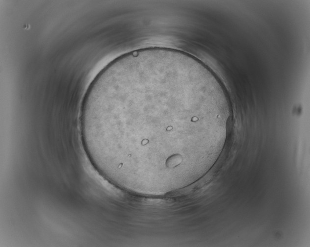 X0000111521339200908111153