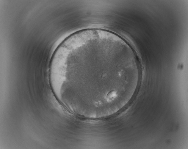 X0000111521340200908111153