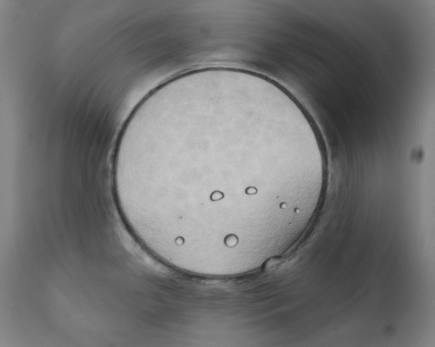 X0000111521341200908111153