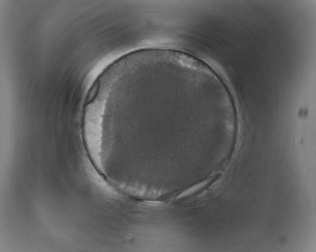 X0000111521344200908111153