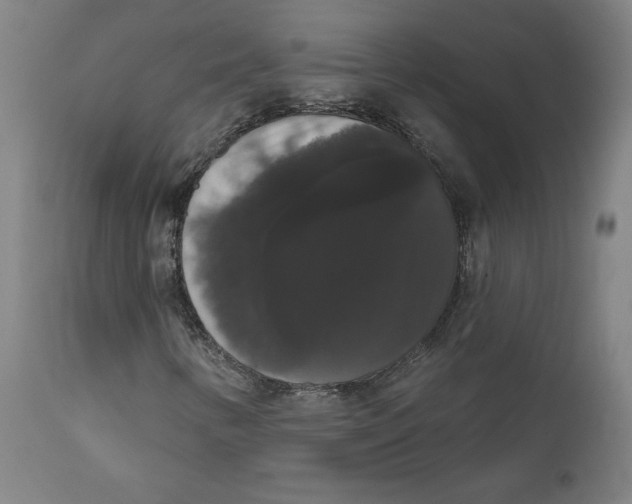 X0000111521346200908111153