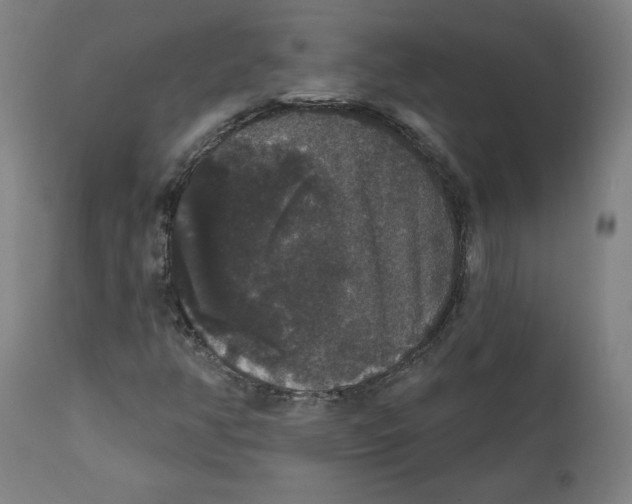 X0000111521350200908111153