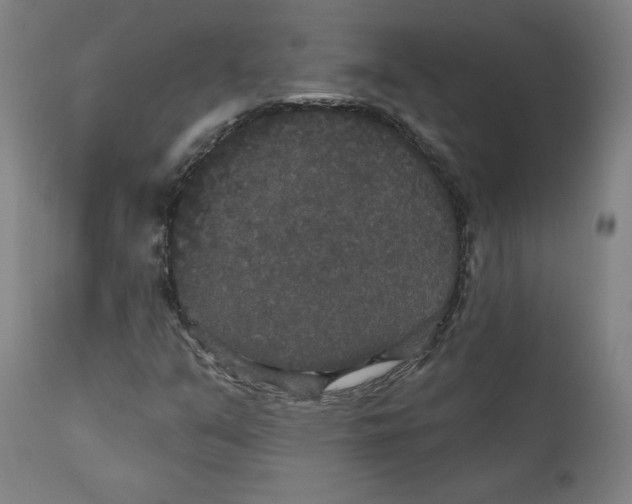 X0000111521351200908111153