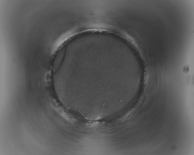 X0000111521352200908111153