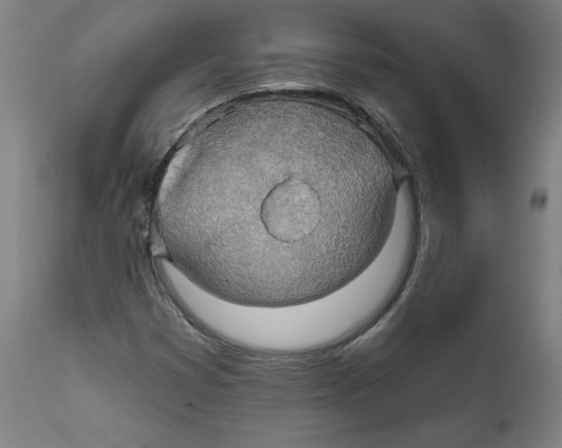 X0000111521353200908111153