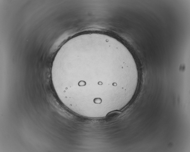 X0000111521355200908111153