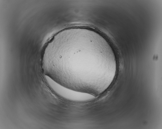 X0000111521357200908111152