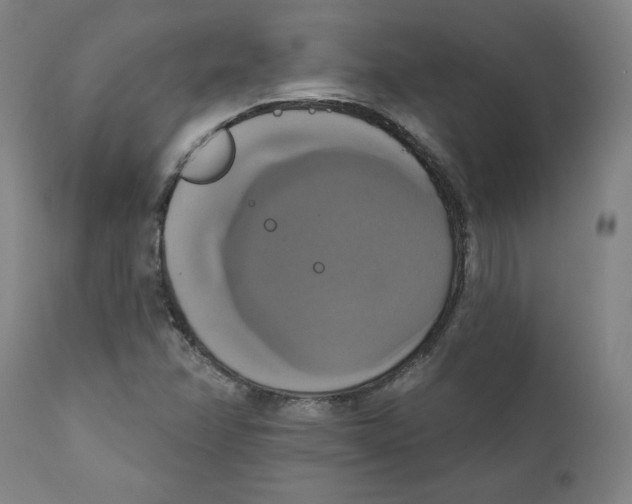 X0000111521358200908111152