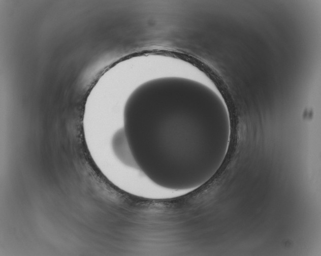 X0000111521359200908111152