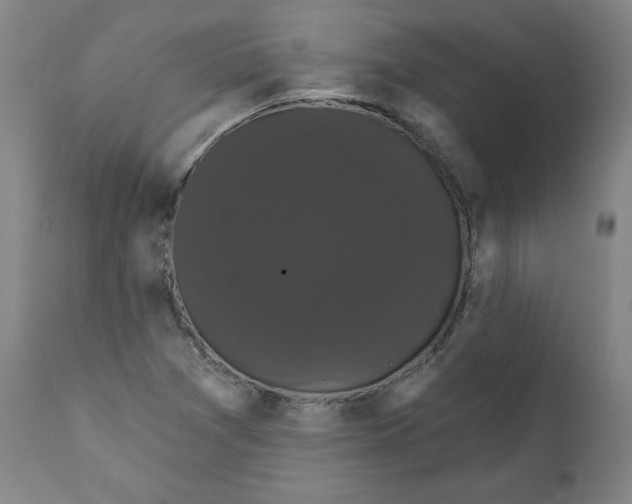 X0000111521361200908111152