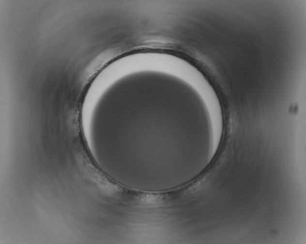 X0000111521362200908111152
