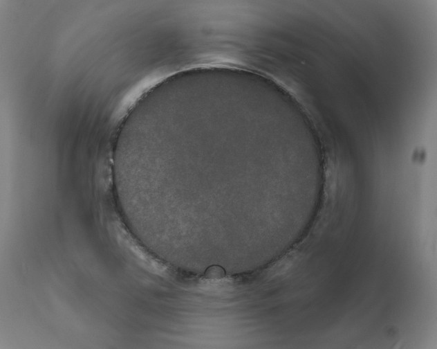 X0000111521363200908111152