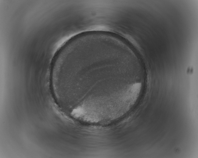 X0000111521364200908111152
