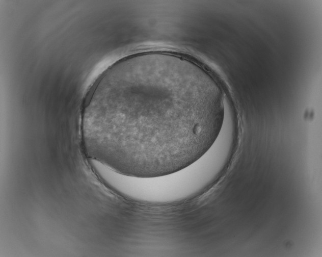 X0000111521365200908111152