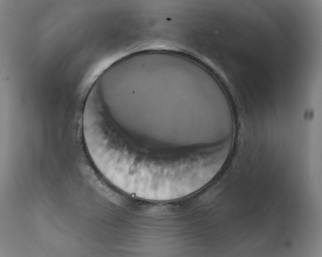 X0000111521367200908111152