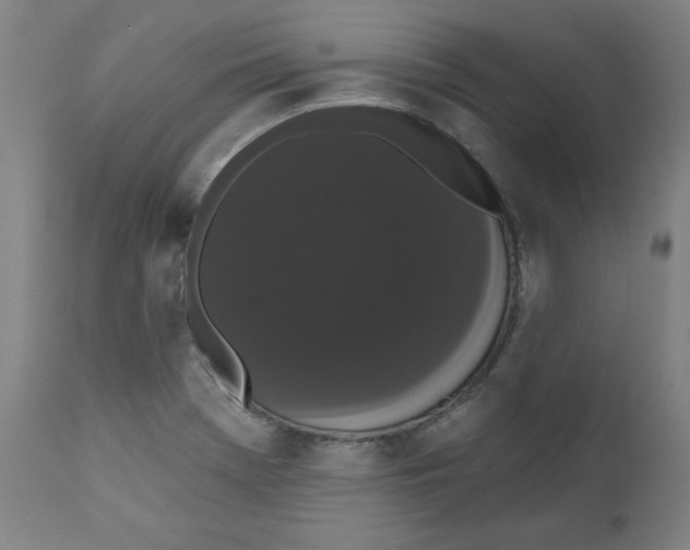 X0000111521369200908111152