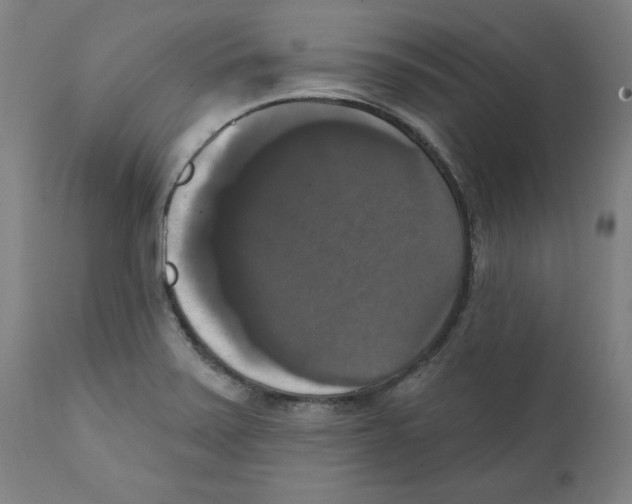 X0000111521371200908111152