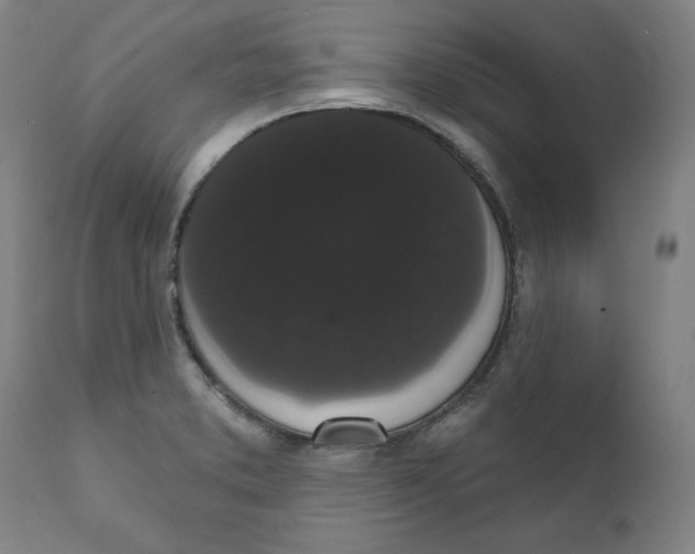 X0000111521373200908111152
