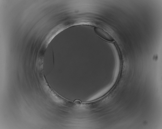 X0000111521377200908111152