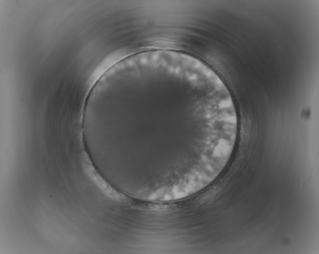 X0000111521378200908111152