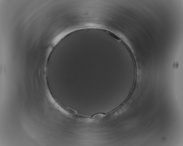 X0000111521381200908111152