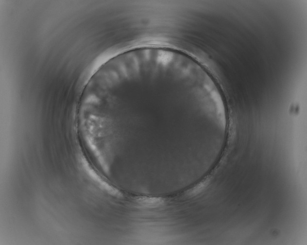 X0000111521382200908111152