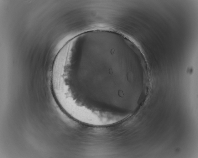 X0000111521383200908111152