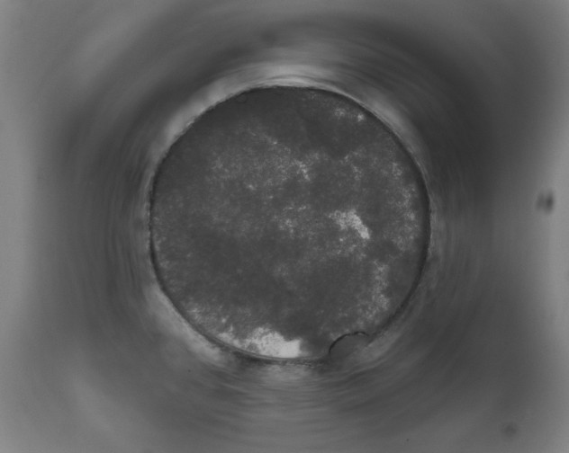 X0000111521384200908111152