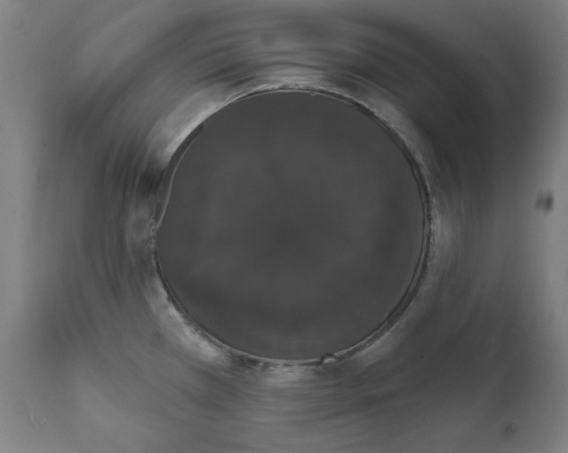 X0000111521385200908111152
