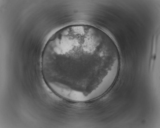 X0000111521388200908111152
